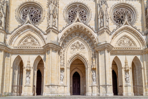 Lutte contre les nuisibles Orléans