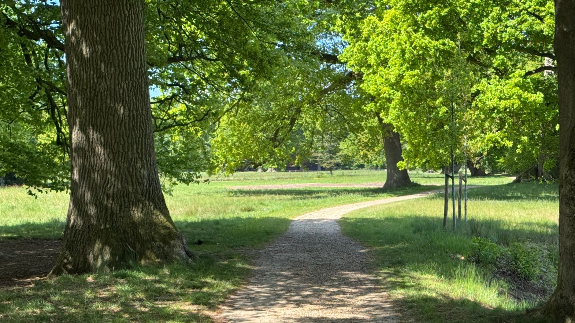 Lutte contre les nuisibles à Orléans
